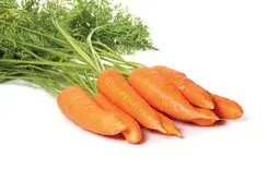 Καρότα