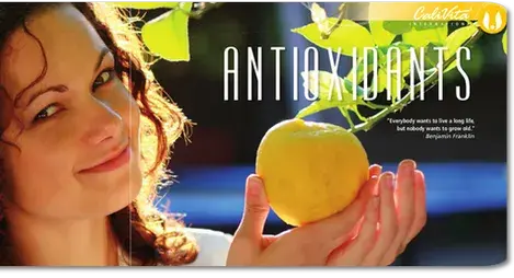 Antioxidanter