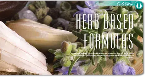 Herb based formulas