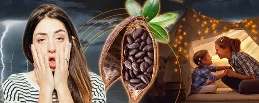 energije u kapsuli - Cocoa Bean Extract+