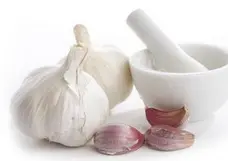 garlic and mortar