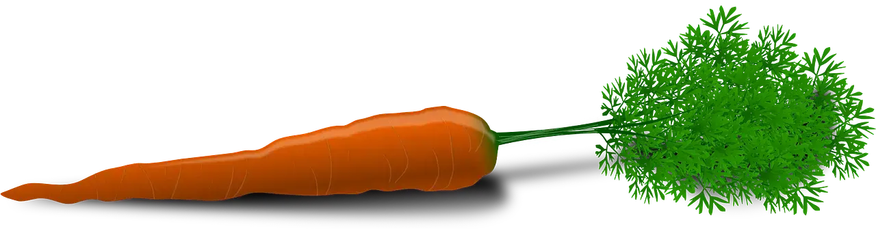 carrot is a source of beta carotene