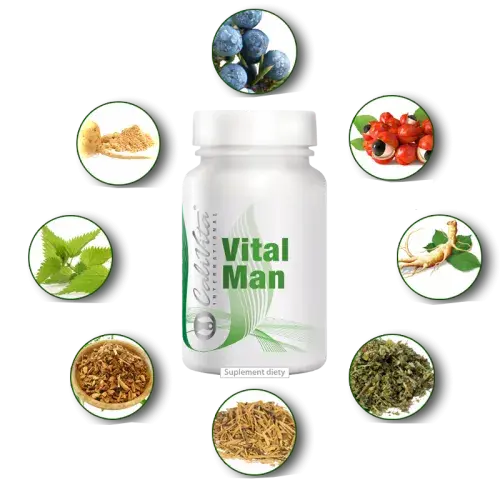 The herbal ingredients of VitalMan